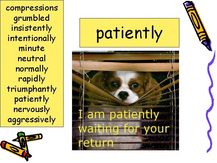 compressions grumbled insistently intentionally minute neutral normally rapidly triumphantly patiently nervously aggressively patiently calmly