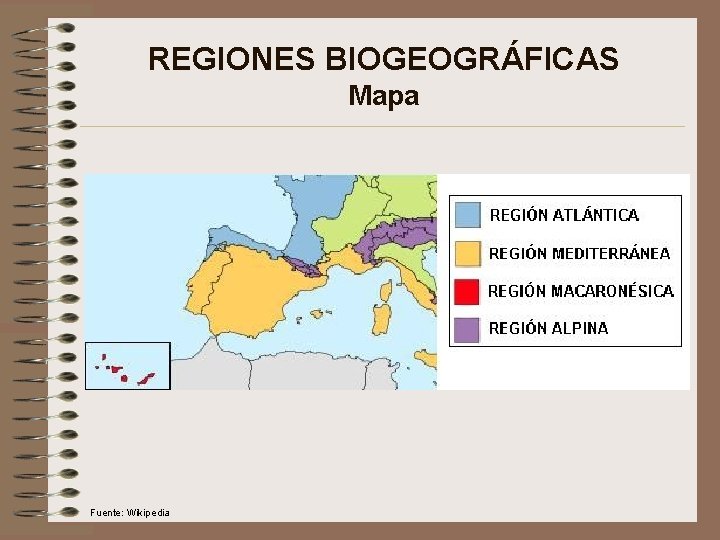 REGIONES BIOGEOGRÁFICAS Mapa Fuente: Wikipedia 