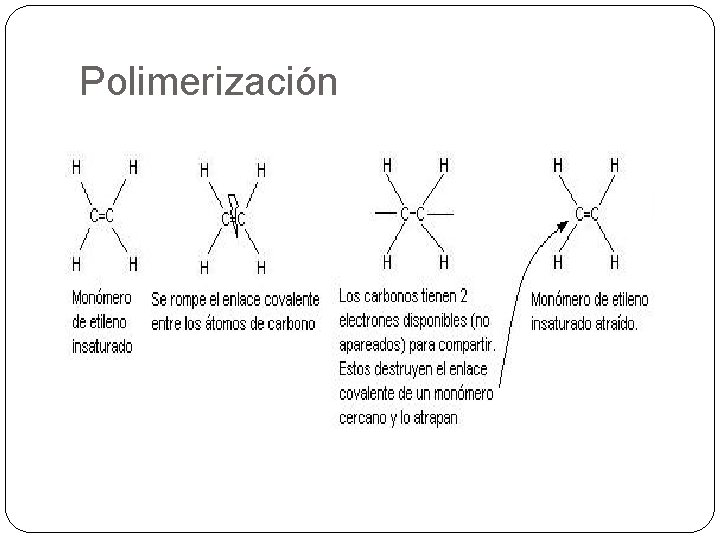 Polimerización 