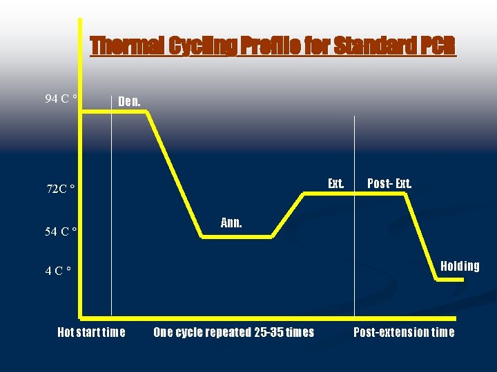 Thermal Cycling Profile for Standard PCR 94 C Den. Ext. 72 C 54 C