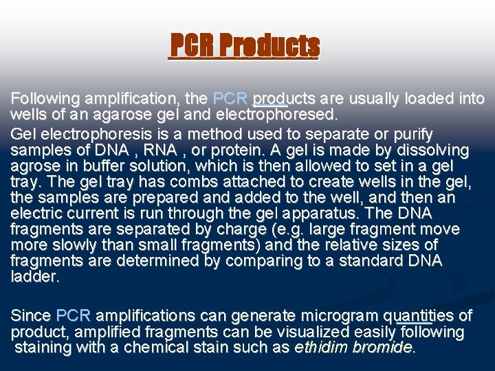 PCR Products Following amplification, the PCR products are usually loaded into wells of an