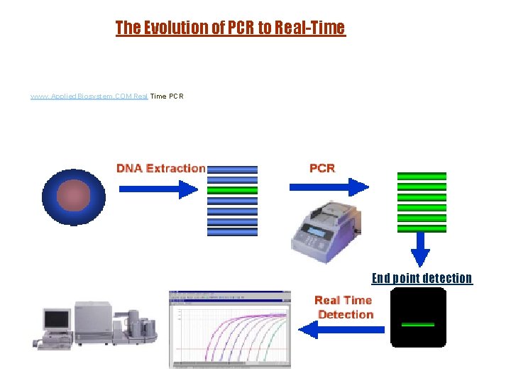 The Evolution of PCR to Real-Time The Evolution of www. Applied. Biosystem. COM Real