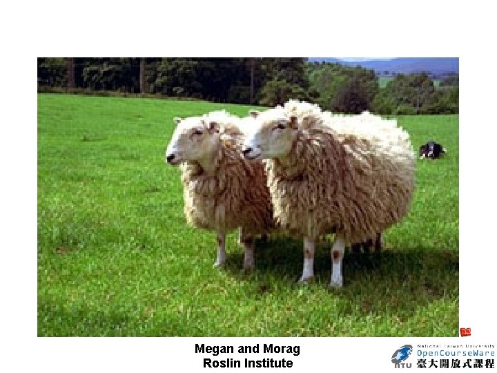 Megan and Morag Roslin Institute 