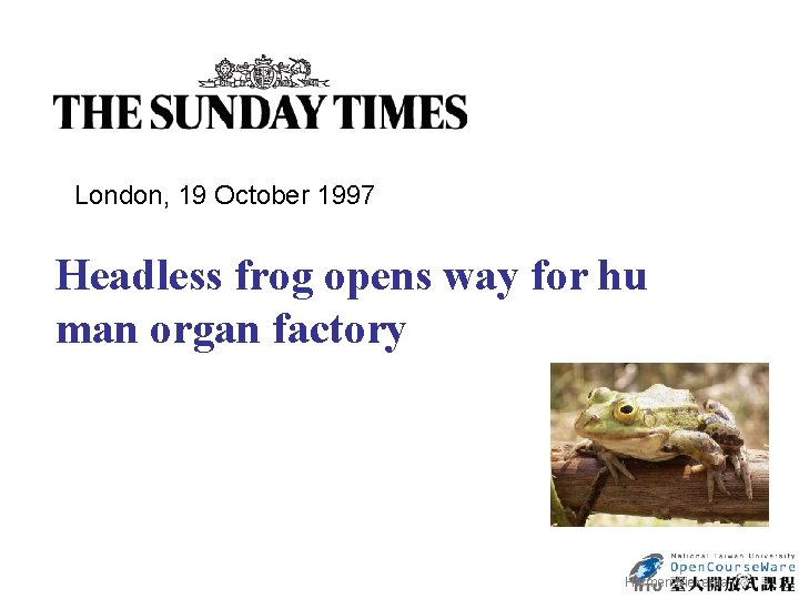 London, 19 October 1997 Headless frog opens way for hu man organ factory Harmen