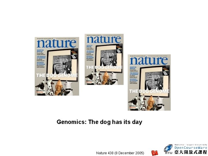  Genomics: The dog has its day Nature 438 (8 December 2005) 