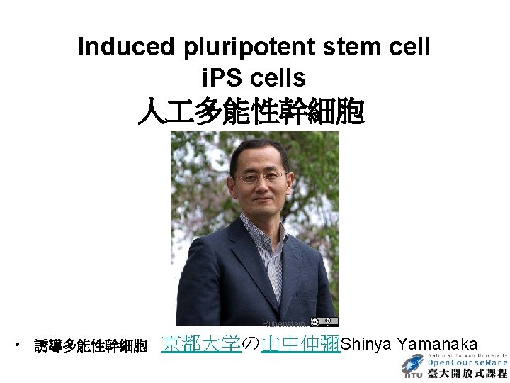  Induced pluripotent stem cell i. PS cells 人 多能性幹細胞 Rubenstein. • 誘導多能性幹細胞　京都大学の山中伸彌Shinya Yamanaka