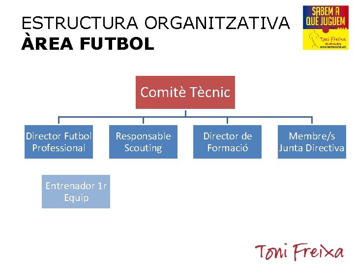 ESTRUCTURA ORGANITZATIVA ÀREA FUTBOL Comitè Tècnic Director Futbol Professional Responsable Scouting Director de Formació