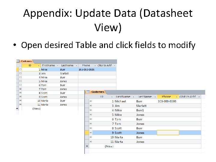 Appendix: Update Data (Datasheet View) • Open desired Table and click fields to modify