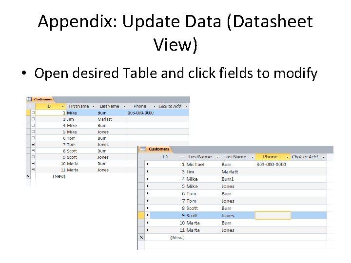Appendix: Update Data (Datasheet View) • Open desired Table and click fields to modify Appendix: Update Data (Datasheet View) • Open desired Table and click fields to modify
