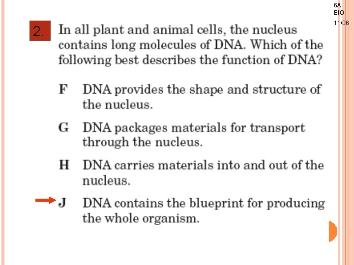 6 A BIO 2. 11/06 