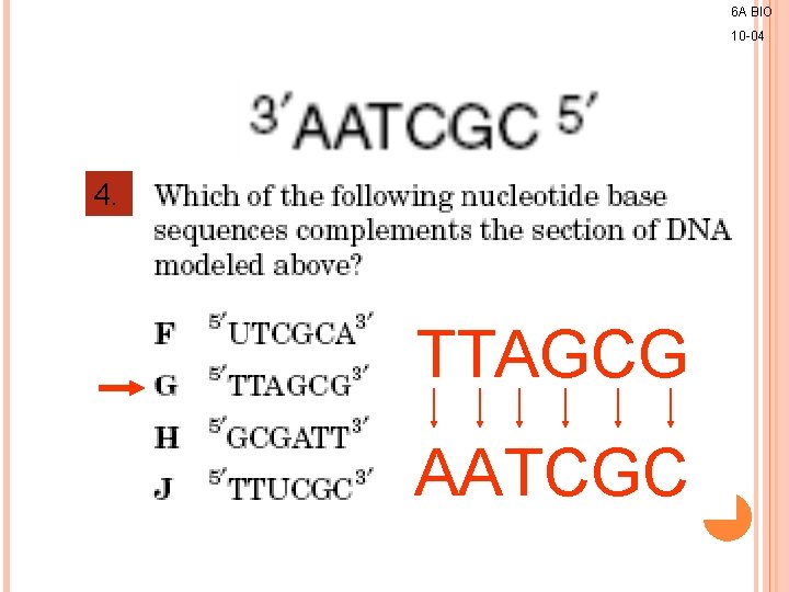 6 A BIO 10 -04 4. TTAGCG AATCGC 