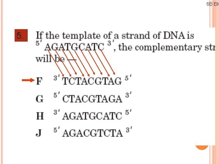 6 B BIO 5. 