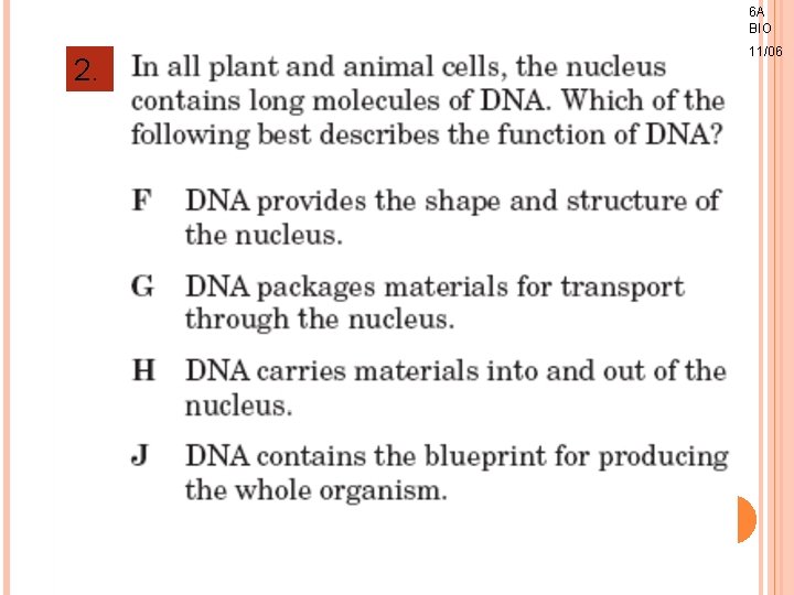 6 A BIO 2. 11/06 