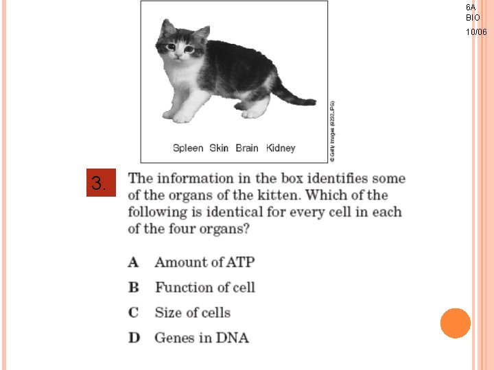 6 A BIO 10/06 3. 