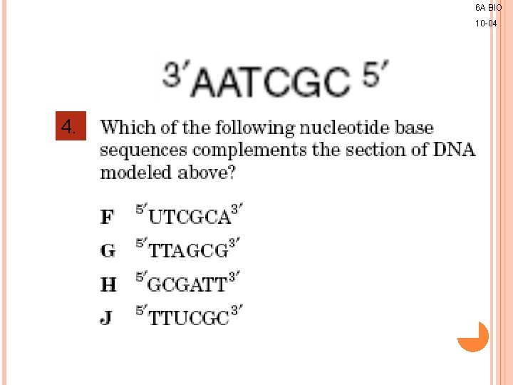 6 A BIO 10 -04 4. 