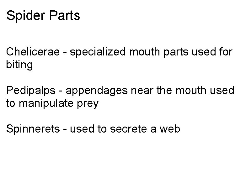 Spider Parts Chelicerae - specialized mouth parts used for biting Pedipalps - appendages near