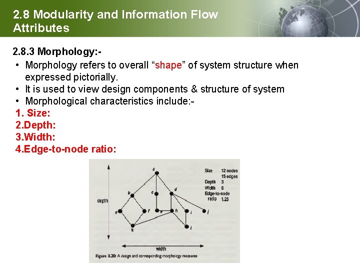 2. 8 Modularity and Information Flow Attributes 2. 8. 3 Morphology: • Morphology refers