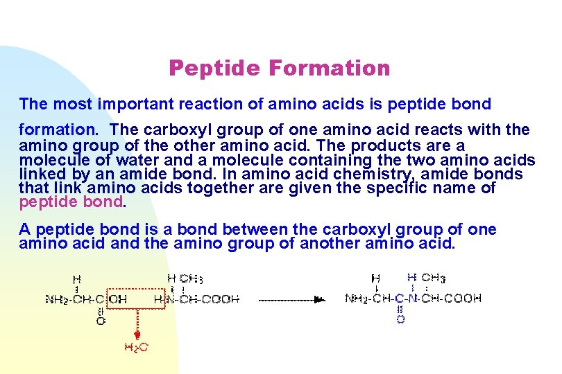 Peptide Formation The most important reaction of amino acids is peptide bond formation. The