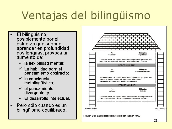 Ventajas del bilingüismo • El bilingüismo, posiblemente por el esfuerzo que supone aprender en