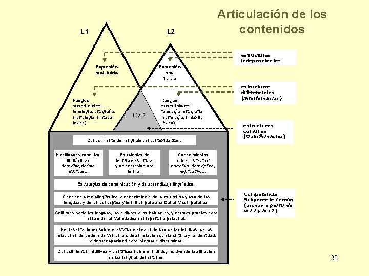 L 1 L 2 Articulación de los contenidos estructuras independientes Expresión oral fluida Rasgos