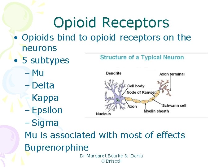 Opioid Receptors • Opioids bind to opioid receptors on the neurons • 5 subtypes