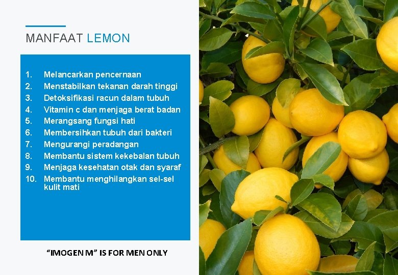 MANFAAT LEMON 1. 2. 3. 4. 5. 6. 7. 8. 9. 10. Melancarkan pencernaan