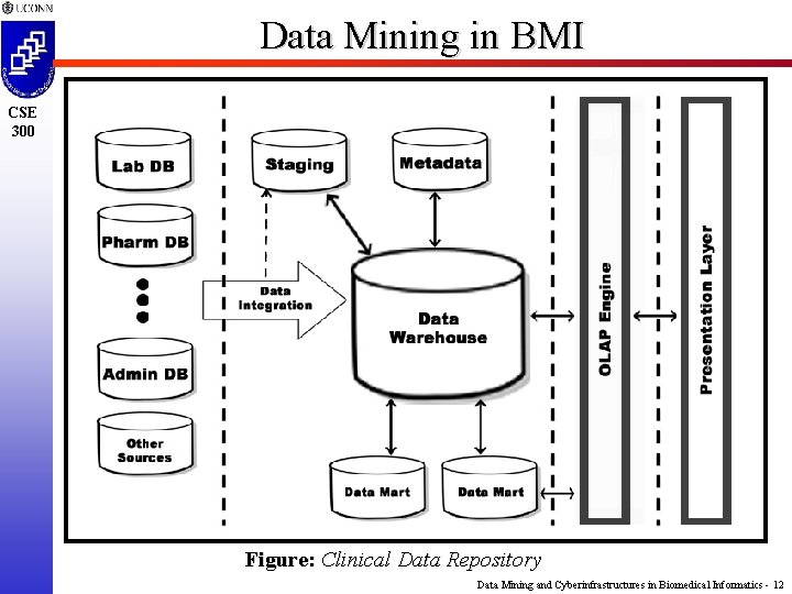 Data Mining in BMI CSE 300 Figure: Clinical Data Repository Data Mining and Cyberinfrastructures