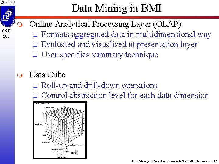 Data Mining in BMI m Online Analytical Processing Layer (OLAP) q Formats aggregated data