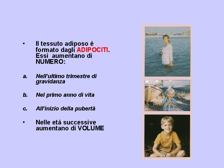  • Il tessuto adiposo è formato dagli ADIPOCITI. Essi aumentano di NUMERO: a.