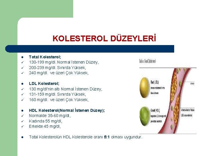 KOLESTEROL DÜZEYLERİ l ü ü ü Total Kolesterol; 130 -199 mg/dl. Normal İstenen Düzey,