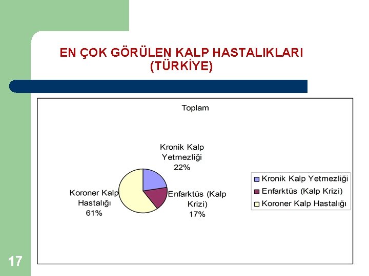 EN ÇOK GÖRÜLEN KALP HASTALIKLARI (TÜRKİYE) 17 