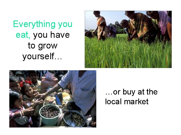 Everything you eat, you have to grow yourself… …or buy at the local market