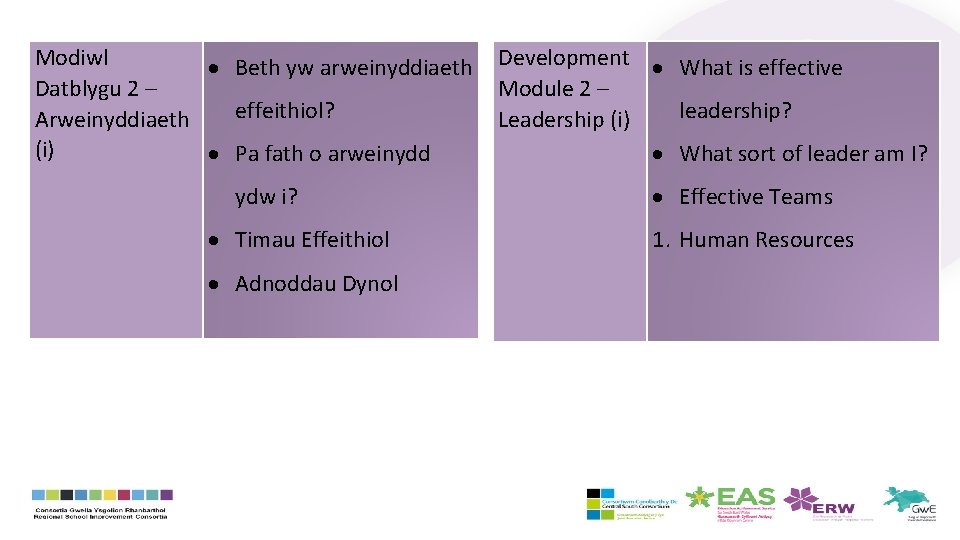 Modiwl Beth yw arweinyddiaeth Development What is effective Datblygu 2 – Module 2 –