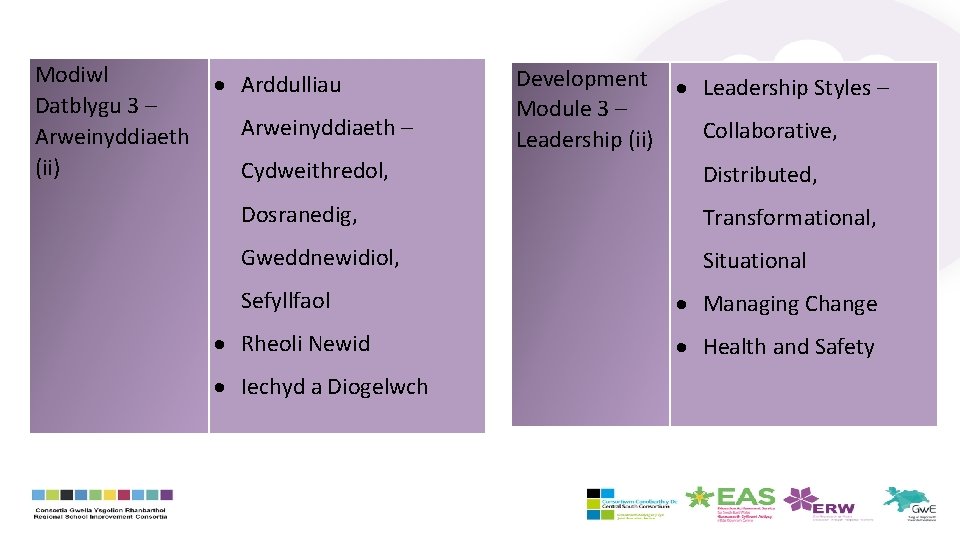 Modiwl Arddulliau Datblygu 3 – Arweinyddiaeth (ii) Cydweithredol, Dosranedig, Gweddnewidiol, Development Leadership Styles –