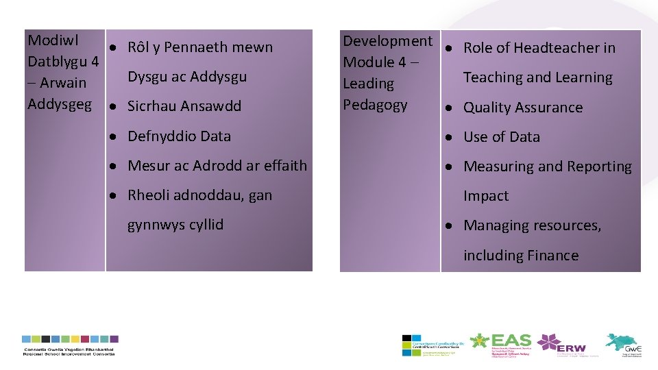 Modiwl Rôl y Pennaeth mewn Datblygu 4 Dysgu ac Addysgu – Arwain Addysgeg Sicrhau