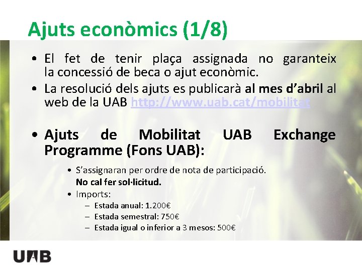Ajuts econòmics (1/8) • El fet de tenir plaça assignada no garanteix la concessió