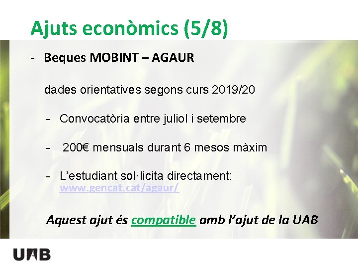 Ajuts econòmics (5/8) - Beques MOBINT – AGAUR dades orientatives segons curs 2019/20 -