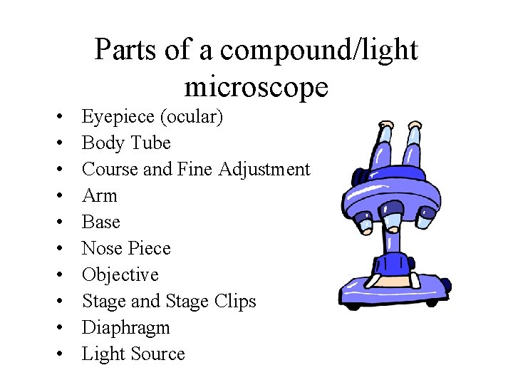 Parts of a compound/light microscope • • • Eyepiece (ocular) Body Tube Course and