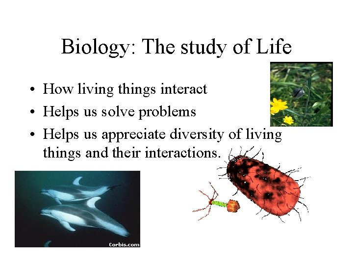 Biology: The study of Life • How living things interact • Helps us solve