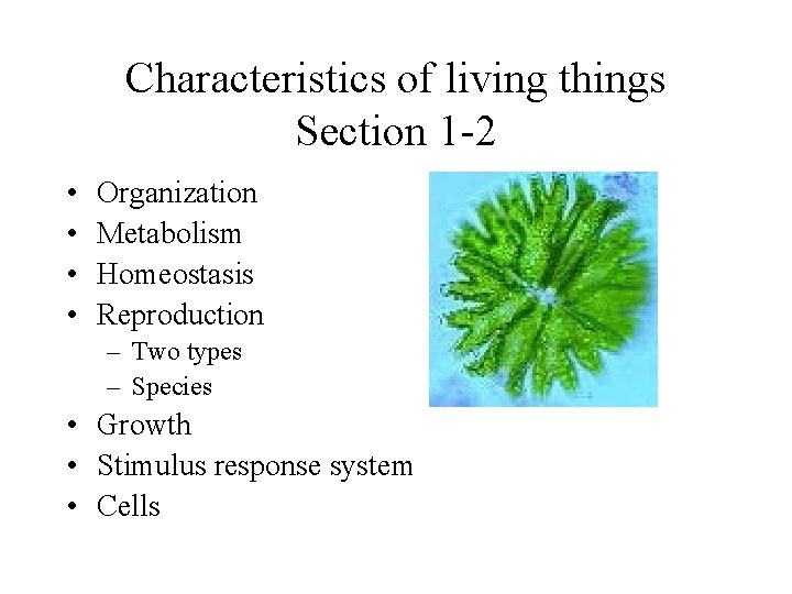 Characteristics of living things Section 1 -2 • • Organization Metabolism Homeostasis Reproduction –