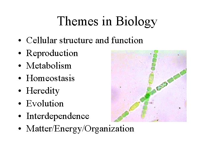 Themes in Biology • • Cellular structure and function Reproduction Metabolism Homeostasis Heredity Evolution