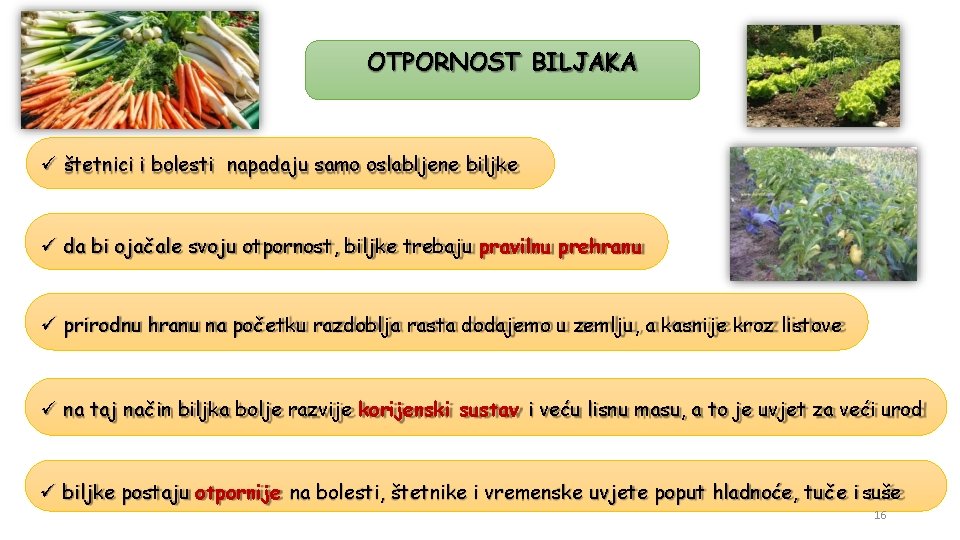 OTPORNOST BILJAKA štetnici i bolesti napadaju samo oslabljene biljke da bi ojačale svoju otpornost,