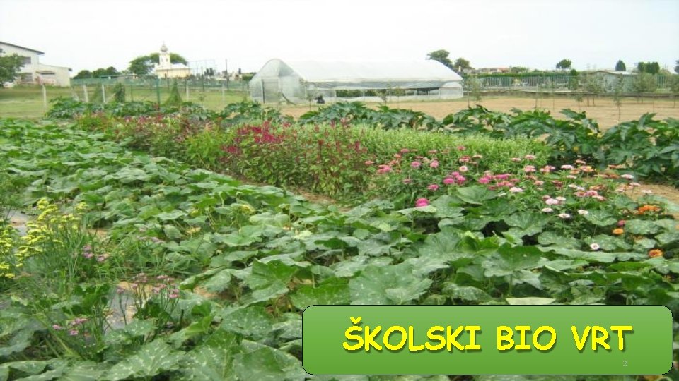 ŠKOLSKI BIO VRT 2 