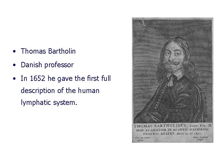  • Thomas Bartholin • Danish professor • In 1652 he gave the first