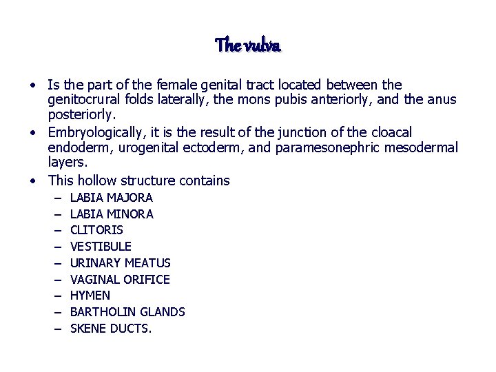 The vulva • Is the part of the female genital tract located between the