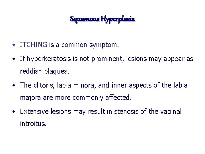 Squamous Hyperplasia • ITCHING is a common symptom. • If hyperkeratosis is not prominent,