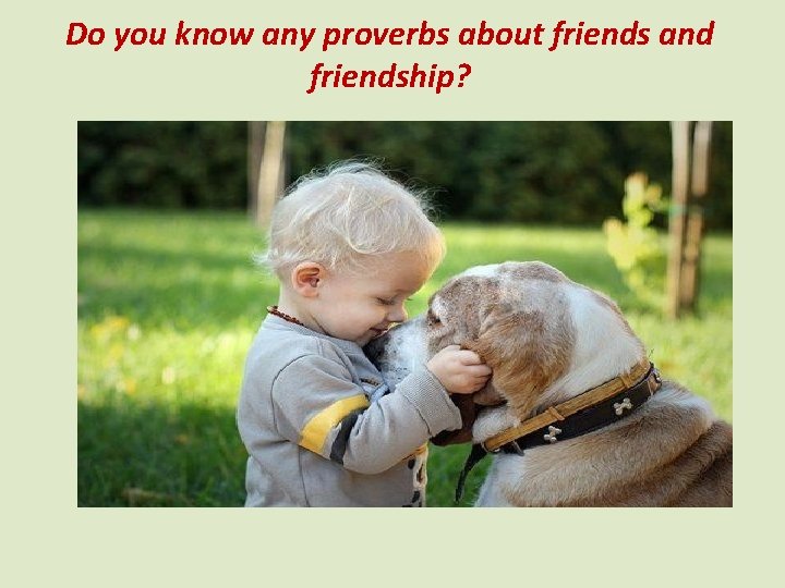 Do you know any proverbs about friends and friendship? 