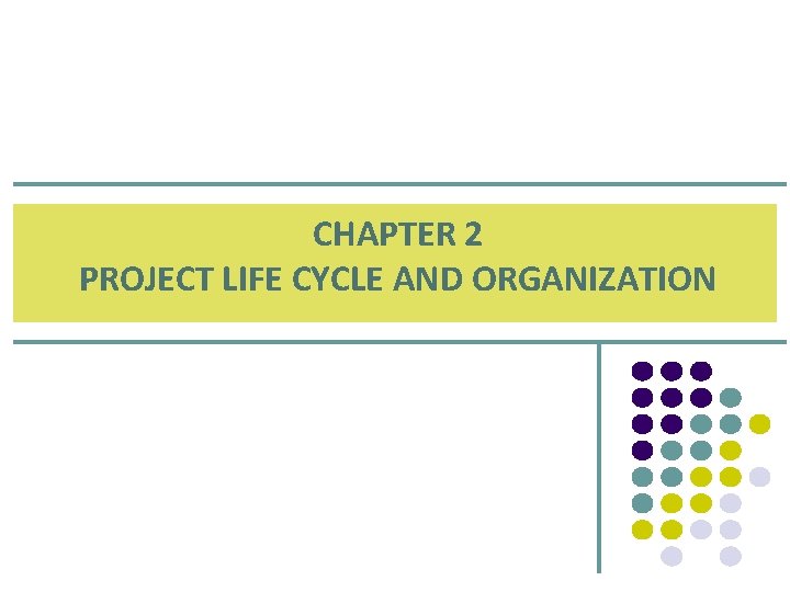CHAPTER 2 PROJECT LIFE CYCLE AND ORGANIZATION 
