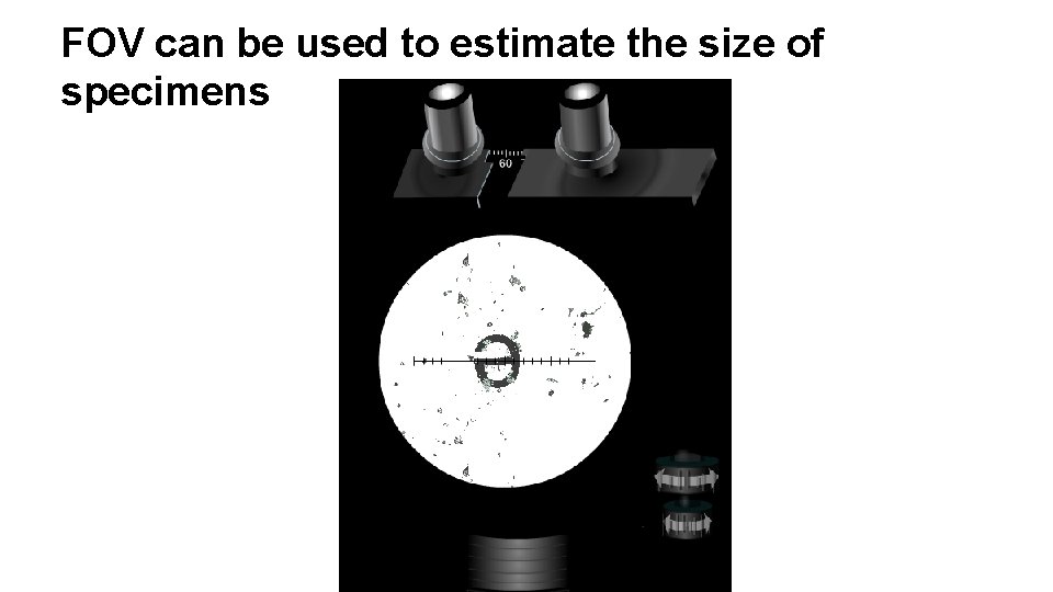 FOV can be used to estimate the size of specimens 