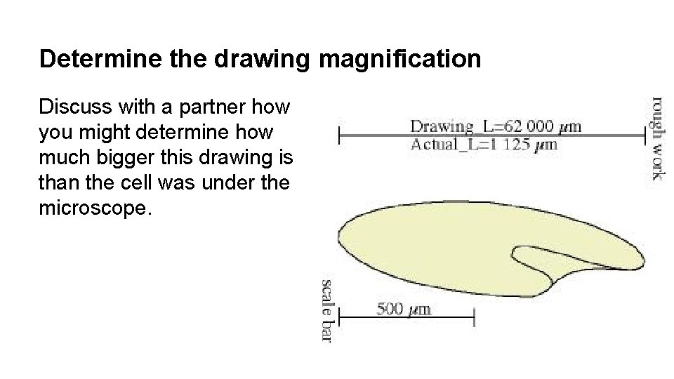 Determine the drawing magnification Discuss with a partner how you might determine how much